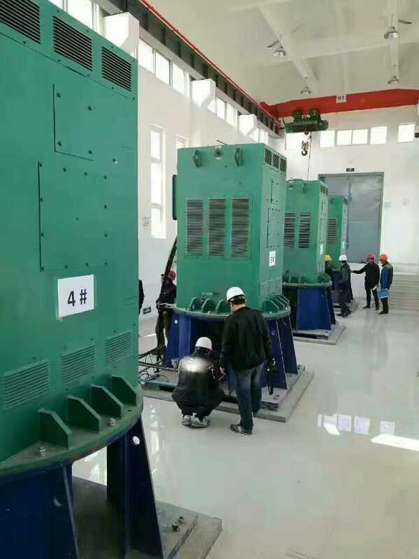 龙港某污水处理厂使用我厂的立式高压电机安装现场