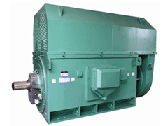 龙港Y系列6KV高压电机